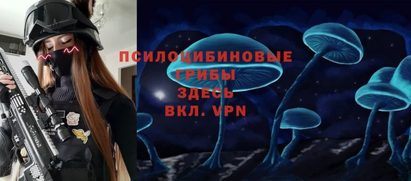 гашик Володарск