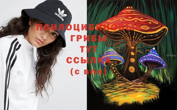 спайс Волоколамск