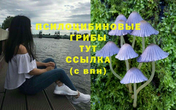 дурь Верхний Тагил