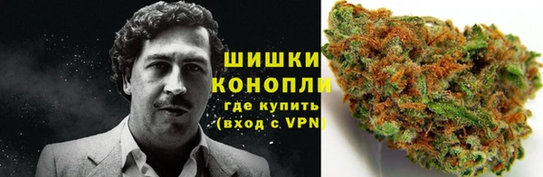 гашик Володарск
