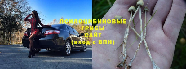 дурь Верхний Тагил